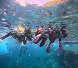 沖縄マリンサービス碧に投稿された画像（2025/8/10）