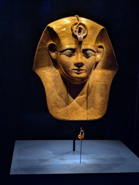 ACN ラムセス大王展 ファラオたちの黄金に投稿された画像（2025/8/10）