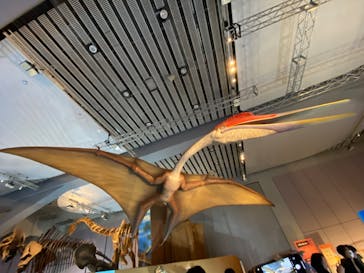 巨大恐竜展2025に投稿された画像（2025/8/10）