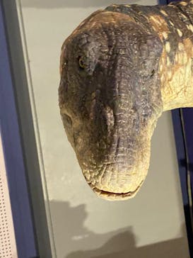 巨大恐竜展2025に投稿された画像（2025/8/10）