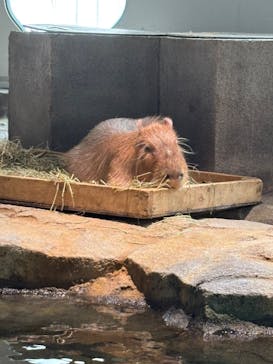 NIFREL（ニフレル）に投稿された画像（2025/8/10）