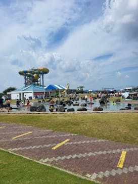 蓮沼ウォーターガーデンに投稿された画像（2025/8/10）