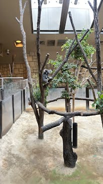 名古屋市東山動植物園に投稿された画像（2025/8/10）