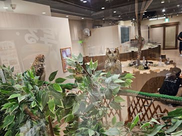 カワスイ 川崎⽔族館に投稿された画像（2025/8/10）