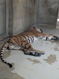 天王寺動物園に投稿された画像（2025/8/10）