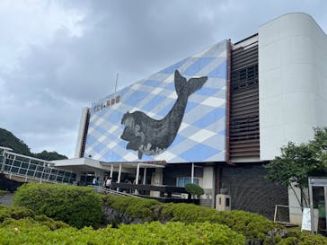 太地町立くじらの博物館に投稿された画像（2025/8/10）