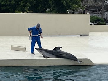 太地町立くじらの博物館に投稿された画像（2025/8/10）