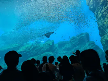仙台うみの杜水族館に投稿された画像（2025/8/10）