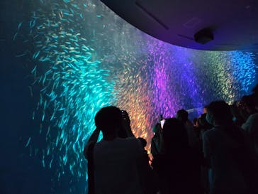 名古屋港水族館に投稿された画像（2025/8/10）