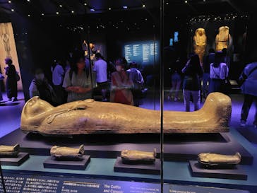 ACN ラムセス大王展 ファラオたちの黄金に投稿された画像（2025/8/10）