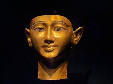 ACN ラムセス大王展 ファラオたちの黄金に投稿された画像（2025/8/10）