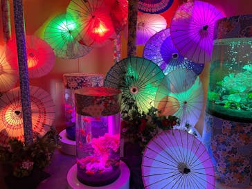 錦鯉・金魚アクアリウム in ときメッセに投稿された画像（2025/8/10）