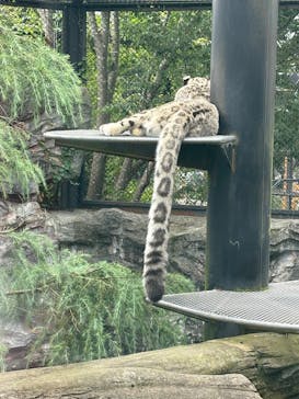 秋田市大森山動物園に投稿された画像（2025/8/10）