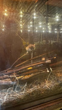 那須サファリパークに投稿された画像（2025/8/10）