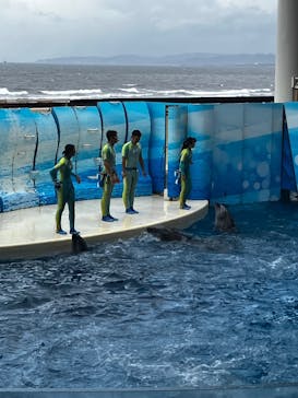 新江ノ島水族館に投稿された画像（2025/8/10）