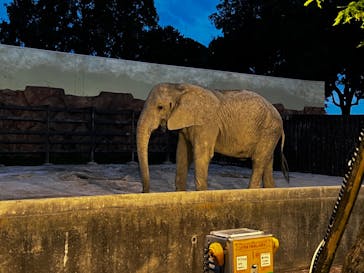 東武動物公園に投稿された画像（2025/8/10）