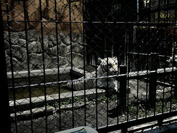 東武動物公園に投稿された画像（2025/8/10）