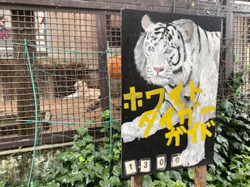 宇都宮動物園に投稿された画像（2025/8/10）