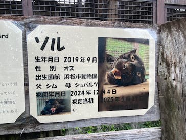 宇都宮動物園に投稿された画像（2025/8/10）