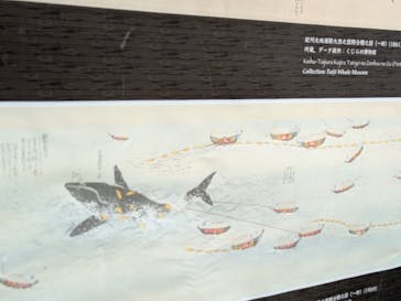 環境水族館アクアマリンふくしまに投稿された画像（2025/8/10）