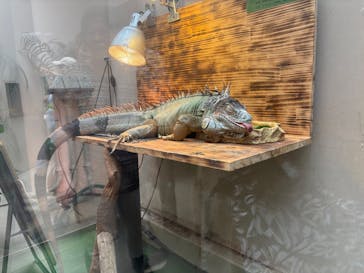 仙台うみの杜水族館に投稿された画像（2025/8/10）