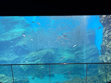 仙台うみの杜水族館に投稿された画像（2025/8/10）