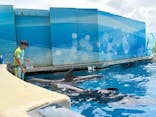新江ノ島水族館に投稿された画像（2025/8/10）