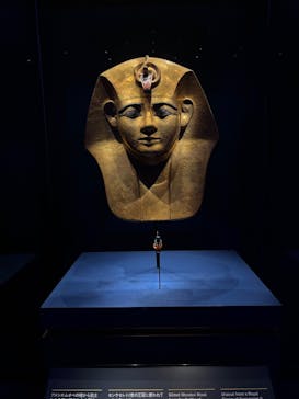 ACN ラムセス大王展 ファラオたちの黄金に投稿された画像（2025/8/10）