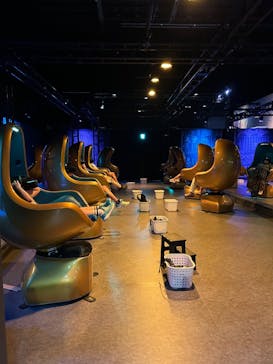 ACN ラムセス大王展 ファラオたちの黄金に投稿された画像（2025/8/10）