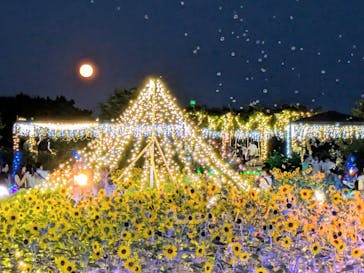 せんだい農業園芸センター　みどりの杜に投稿された画像（2025/8/10）