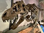 巨大恐竜展2025に投稿された画像（2025/8/10）