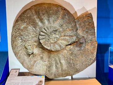 巨大恐竜展2025に投稿された画像（2025/8/10）