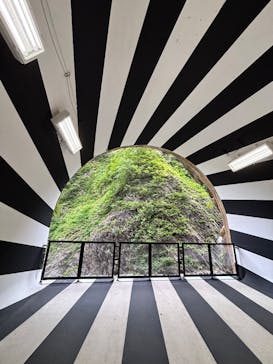 清津峡渓谷トンネルに投稿された画像（2025/8/10）