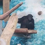 天王寺動物園に投稿された画像（2025/8/10）