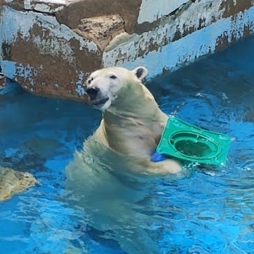 天王寺動物園に投稿された画像（2025/8/10）