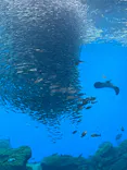 仙台うみの杜水族館に投稿された画像（2025/8/10）