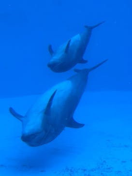 名古屋港水族館に投稿された画像（2025/8/10）