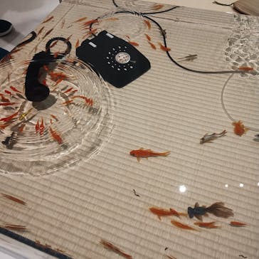 あべのハルカス美術館に投稿された画像（2025/8/10）