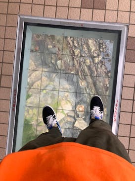 徳島県立 渦の道に投稿された画像（2025/8/10）