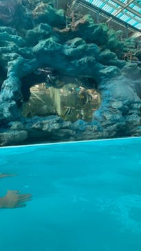 スパリゾートハワイアンズに投稿された画像（2025/8/10）