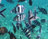 DIVE IN CHATANに投稿された画像（2025/8/10）