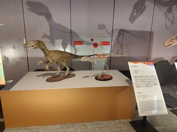 巨大恐竜展2025に投稿された画像（2025/8/10）