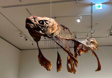 あべのハルカス美術館に投稿された画像（2025/8/10）