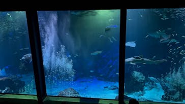 マリンワールド海の中道に投稿された画像（2025/8/10）