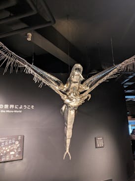 滋賀県立琵琶湖博物館に投稿された画像（2025/8/10）