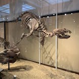 国立科学博物館に投稿された画像（2025/8/10）