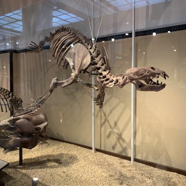 国立科学博物館に投稿された画像（2025/8/10）