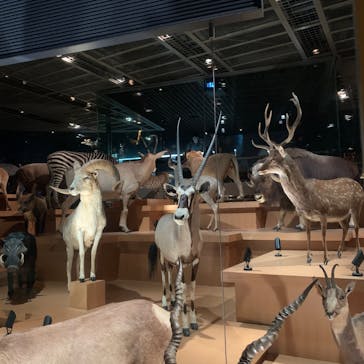 国立科学博物館に投稿された画像（2025/8/10）