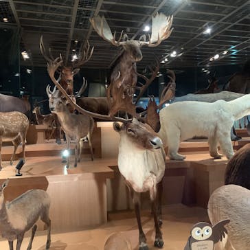 国立科学博物館に投稿された画像（2025/8/10）