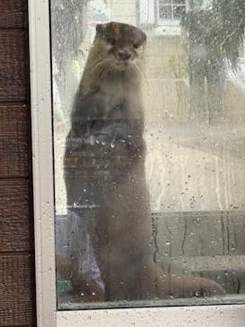 下田海中水族館に投稿された画像（2025/8/10）